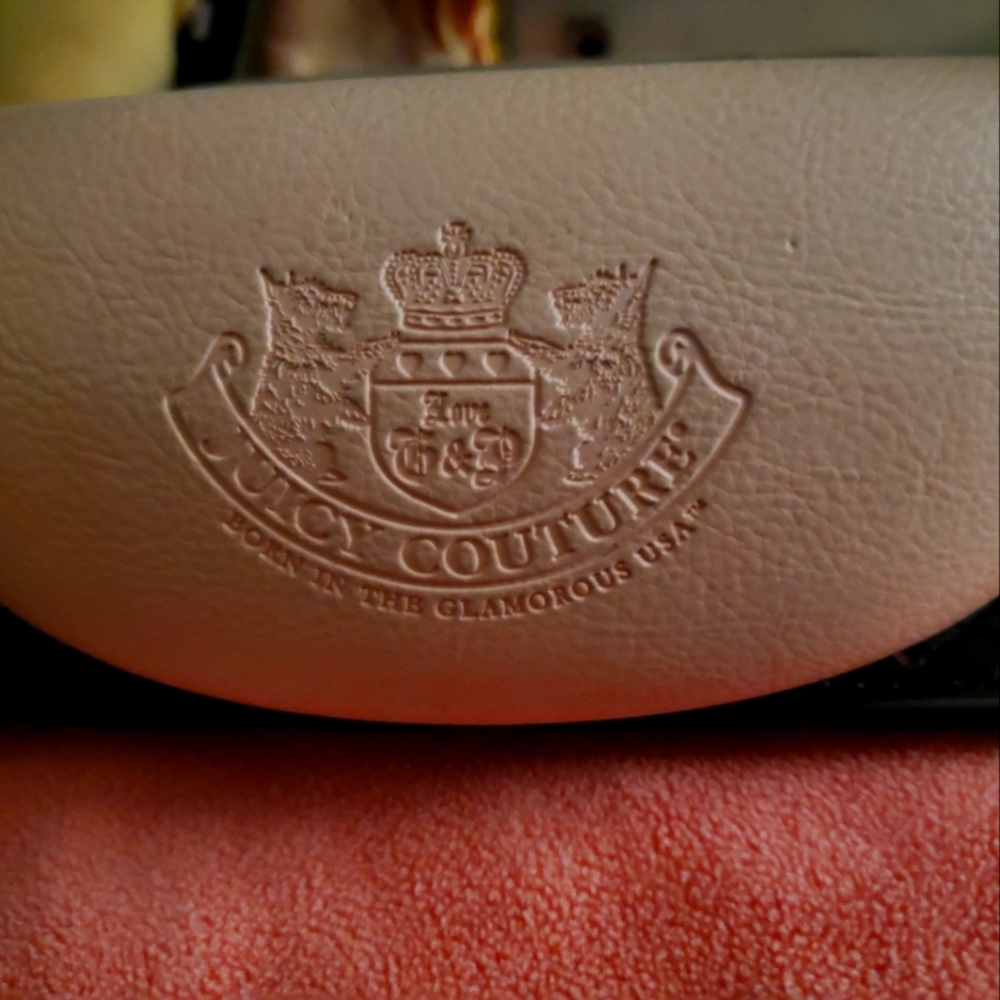 Vintage juicy couture eye glass case